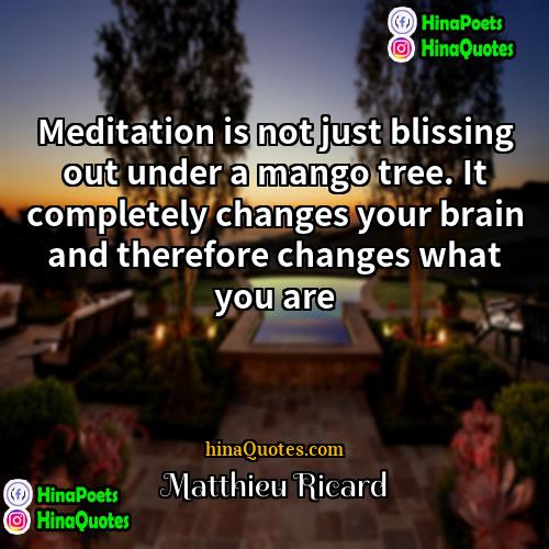 Matthieu Ricard Quotes | Meditation is not just blissing out under